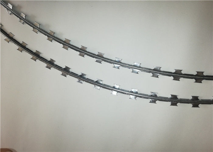 Tipos bobina sanfona de BTO -10 do arame farpado da lâmina de lâmina com aparência agradável