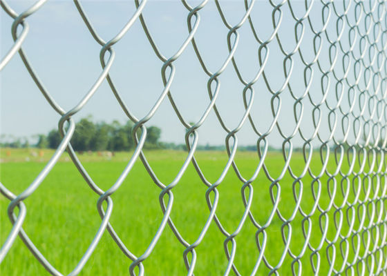 Aço galvanizado resistente elo de corrente de 1.8m x de 25m que cerca a malha